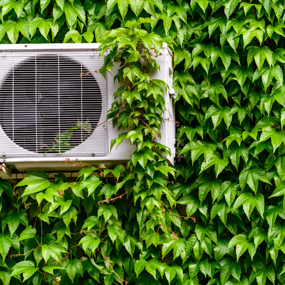 Condizionatore su muro coperto di edera verde